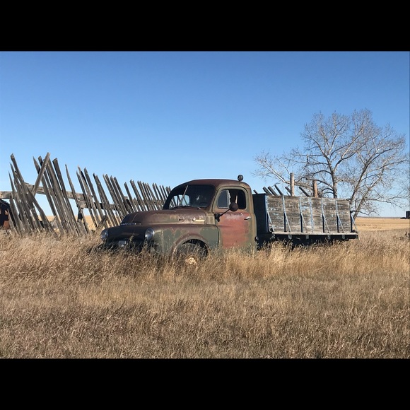 Meet your Posher, Toby - Picture 1 of 1